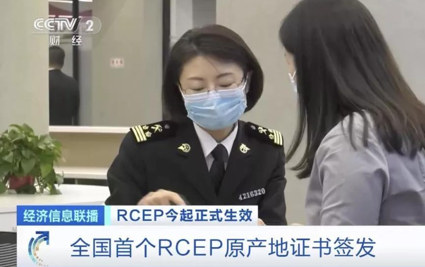 石狮举办RCEP青年侨商创新创业峰会(图2)